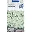 Насіння Ясколка Біберштейна Насіння України 0.1 г (765400) - мініатюра 1