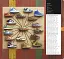 Sneakers. The Complete Limited Editions Guide - миниатюра 5