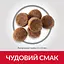 Сухий корм Hill’s SP Puppy Large Breed для цуценят великих порід з куркою 2.5 кг - мініатюра 4