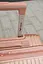 Валіза Wings WN01 мала 38л рожеве золото (WN01-S-RoseGold) - мініатюра 10