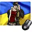 Ігрова поверхня Nextprint Джо-джо Джотаро Прапор - Jo-Jo 300 х 250 мм (17805)  - мініатюра 1