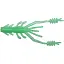 Силикон Reins Ring Shrimp 2" 146 Hot Cucumber (12 шт/уп) - миниатюра 1
