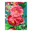 Картина по номерам Rosa Star Дика півонія 35 х 45 см (4823098525288) - мініатюра 1