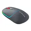 Мишка Canyon MW-22 Dual Band RGB Wireless Dark Grey (CNS-CMSW22DG) - мініатюра 2