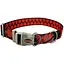 Ошейник для собак Coastal Sublime 1.9x30см (SP26621_GTP12) - миниатюра 1