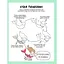 Книга для дозвілля "Як намалювати русалку та інших чарівних істот" Ранок 101070, 64 сторінки - мініатюра 3