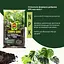 Торфосуміш COMPO SANA® для зелених рослин і пальм 10 л - мініатюра 3