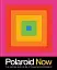Polaroid Now. The History and Future of Polaroid Photography - мініатюра 1
