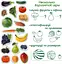 Набір магнітів Magdum "Фрукти і овочі" ML4031-15 EN - мініатюра 5