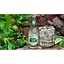 Уцінка. Напій Fentimans Ginger Ale безалкогольний 200 мл (799379)  - мініатюра 5