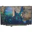 Матриця для ноутбука 14.0 Led Slim FHD IPS 30pin (LP140WF3 SP D1) - Class B Б/В - мініатюра 1