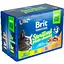 Уцінка. Вологий корм для стерилізованих кішок Brit Premium Cat Pouch Сімейна тарілка асорті 4 смаки 1.2 кг (12 шт. х 100 г)  - мініатюра 2
