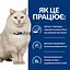 Сухий корм Hill's Prescription Diet C/D Stress для котів для догляду за сечовидільною системою при дії стресових факторів, з куркою, 8 кг - мініатюра 4