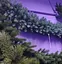 Гирлянда густая из хвои Элит 1.5 м литая (Голубая) - миниатюра 3