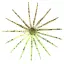 Силикон Keitech Little Spider 3.5" #207 Green Pumpkin PP. FLK (5 шт/уп) - миниатюра 2