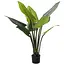Искусственное растение Engard Philodendron 90 см (TW-38) - миниатюра 1