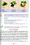 Я досліджую світ. 1-4 класи. Енциклопедія для чомусиків - миниатюра 11
