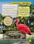 Світ навколо нас. Дива природи - миниатюра 5