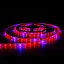 Светодиодная фитолента влагозащищенная Brille 12V 12W 60SMD 5050 18LM IP65 1m (LM870) 9350095 - миниатюра 2