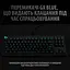 Клавіатура Logitech G PRO Mechanical Gaming USB (920-009392) - мініатюра 8