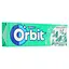 Резинка жевательная Orbit Эвкалипт, 14 г (663866) - миниатюра 2
