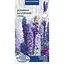 Семена Дельфиниум многолетний Насіння України смесь 0.1 г (757500) - миниатюра 1