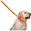 Повідець для собак Waudog Glamour шкіряний, помаранчевий - мініатюра 4