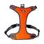 Шлея AnimAll HL-8005-1 для собак, помаранчева, XL, 52-80 см/46-92 см - мініатюра 1