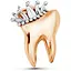 Брошь Зуб (158511337) - миниатюра 1