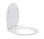 Сидение для унитаза EUR TS-9874 дюропластовое, Soft Close, металл.крепл. - миниатюра 2