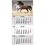 Календарь настенный Axent Horses 3 квартальный 2026 год (8801-26-16-A) - миниатюра 1