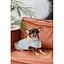 Шлея-жилет Pet Fashion Rob для собак розмір S - мініатюра 5