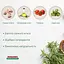 Сухой корм для собак средних и крупных пород Morando Tradizioni с курицей и овощами 12 кг - миниатюра 2