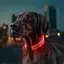 Ошейник для собак с подсветкой Waudog LED RGB Type-C регулируемый Ш 25 мм Д 60 см - миниатюра 5