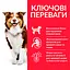 Сухий корм Hill's SP Can Mature Adult 7+ Medium C 2,5 кг для зрілого собаки 7+ середніх порід - мініатюра 3