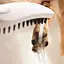 Ручной душ Hansgrohe DogShower 150 3Jet Matt White белый матовый 26640700, Белый матовый - миниатюра 4