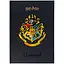 Щоденник шкільний Kite Harry Potter тверда обкладинка (HP25-262-2) - мініатюра 8