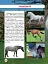 Світ навколо нас. Коні - миниатюра 3