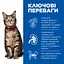 Вологий корм Hill's SP Adult для дорослих котів, з яловичиною, пауч, 85г х 12 шт. - мініатюра 2