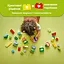 Конструктор LEGO DUPLO Town Творчий сад і квіти 45 деталей (10444) - мініатюра 11