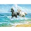 Алмазна мозаїка 40*50 см зі стразами на підрамнику Аллюр Коні на березі моря - мініатюра 1