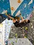Скальники Scarpa Arpia V 44 Чорний-Жовтий - миниатюра 9