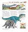 Відкриваємо світ динозаврів - миниатюра 5