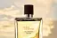 Hermes Terre d'hermes Eau Intense Vetiver парфумована вода 100 ml - мініатюра 4