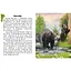 Читаю про Україну по складах "Тварини гір" Ранок 366021 з кольоровими ілюстраціями - мініатюра 2