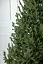 Елка искусственная литая Венская 1.8 м Зеленая - миниатюра 7
