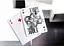 Карти гральні United States Playing Card Company Ellusionist Perpetua (ВР_КИЕП) - мініатюра 2