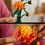 Уцінка. Конструктор LEGO Botanicals Хризантема 278 деталей (10368)  - мініатюра 8