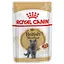 Вологий корм для дорослих кішок породи британська короткошерста Royal Canin British Shorthair Adult шматочки в підливі 1.02 кг (12 шт. х 85 г) - мініатюра 2