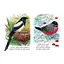 Малюкам про звірят "Поруч з нами" 212013 збірка з аудіосупроводом - мініатюра 4